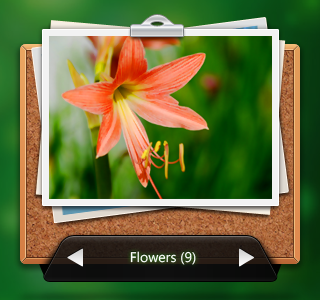 Widget Photo android board flower gui icon logo picture widget wood