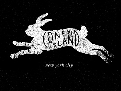 Coney Island custom handwritten identity lettering logo rough texture type typography