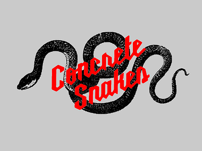 Concrete Snakes!