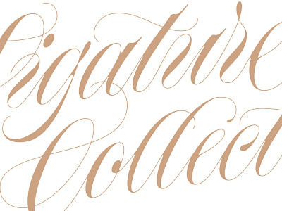 script calligraphy copperplate lettering script type