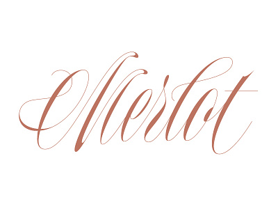 Merlot calligraphy copperplate elegant handtype lettering script scriptlettering type wine