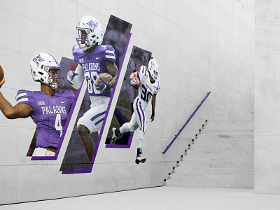 Furman University Stadium Graphic branding environment design graphic design