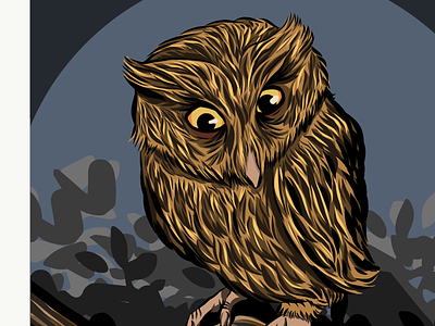 Owl adobe illustrator adobe illustrator draw animal bird drawing illustration owl vector vector art