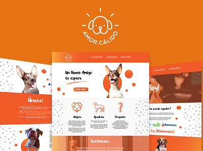 Amor Calido Website adobe illustrator adoption animals branding design dog doggy graphic design logo love non profit organization photography ui ux web web design
