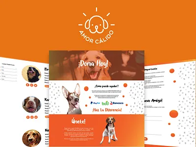 Amor Calido 2 adobe illustrator adoption cute animals design dog doggy flat golden retriever graphic design labrador retriever logo minimal non profit nonprofit pitbull ui ux web