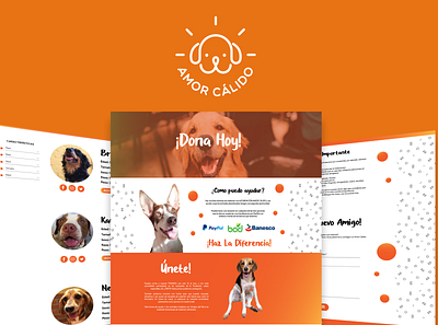 Amor Calido 2 adobe illustrator adoption cute animals design dog doggy flat golden retriever graphic design labrador retriever logo minimal non profit nonprofit pitbull ui ux web