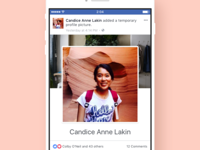 Facebook Profile Picture Update