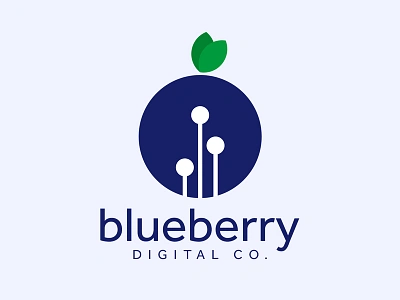 Blueberry Digital Co. branding design graphic design logo vector