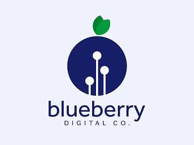 Blueberry Digital Co.