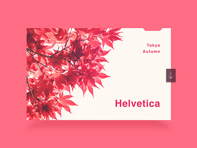 Tokyo Autumn Helvetica app clean design idea photo red simple ui ux web