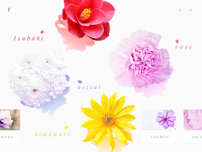 Flowers - daily design. catalog clean color photo pink purple ui ux web yellow