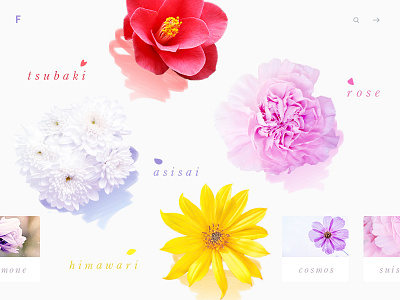 Flowers - daily design.