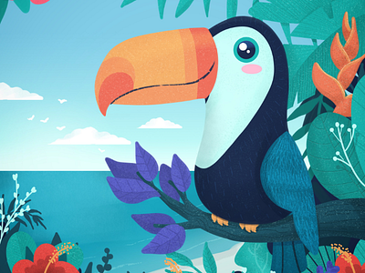 Toucan illustration