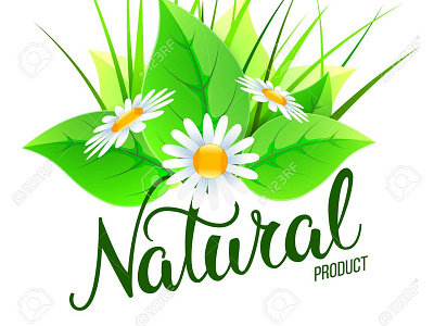 Natural And Eco Design Elements brand branding design floral design illustration logo watercolor minimal vector w logo water color