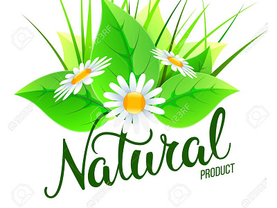 Natural And Eco Design Elements