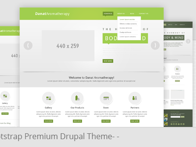 Danat - Responsive Drupal Theme