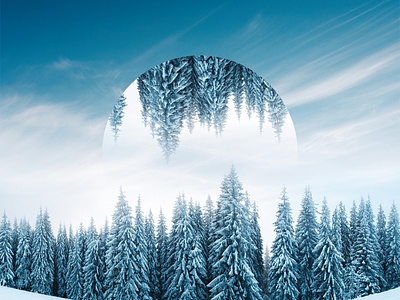 Winter Reflect 2 art color desginer design photoshop snow texture trees winter