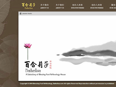 Baihelisa 2010 verzdesign webdesign
