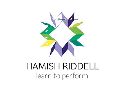 Hamish Riddell Consultancy branding logo
