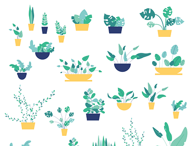 Collection of plants animation art design flat illustration flatdesign illustration illustrator leaf minimal plant plant illustration vector