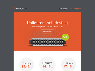 Hosting Email Design