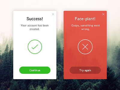 Flash Message (Error/Success)—Daily UI #011 daily100 dailyui day011 error flash message message minimal modal popup success ui widget