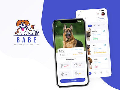 Babe Pet Care - UX/UI Case study