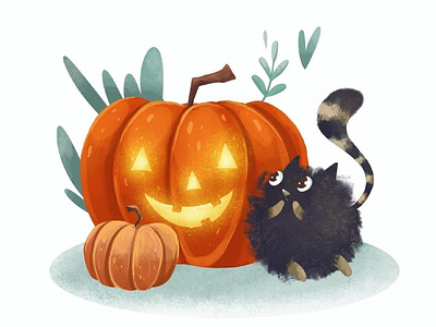 Cat and pumpkin