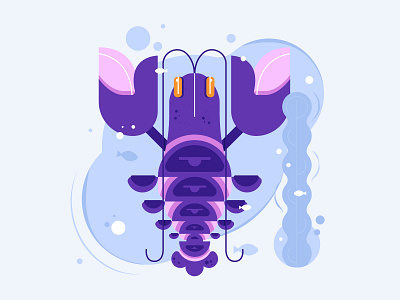 Lobster design graphic design illustration