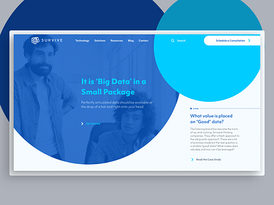 Survive Bubble flat minimalist modernism ui ui design ux vector web design website