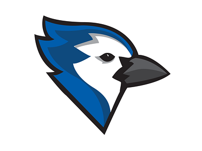 Bluebird Logo adobe bird bluebird branding graphic illustrator logo logo design mark