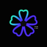 blumiieo UI/UX & Div