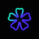 Blumiieo