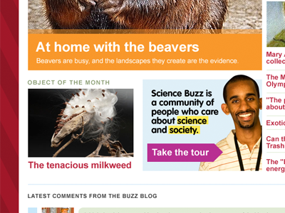 Science Buzz redesign beavers homepage mockup science buzz