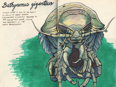 Bathynomus giganteus color study colored pencils deep sea creatures drawing giant isopod illustration inks prismacolor sketch sketchbook