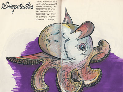 Grimpoteuthis color study colored pencils deep sea creatures drawing dumbo octopus illustration inks prismacolor sketch sketchbook