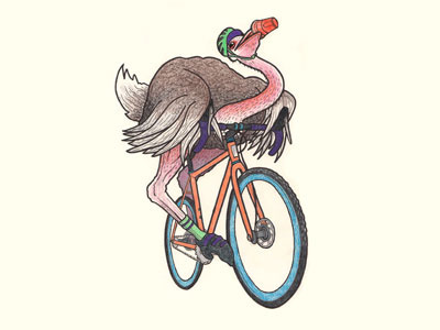 Cyclocross Ostrich bicycle bike characterdesign coloredpencils cyclocross drawing illustration ink markers ostrich prismacolor