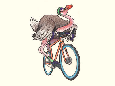 Cyclocross Ostrich