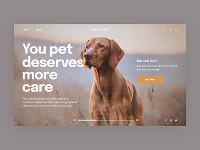 Vet and Animal Shelter - Web UI concept