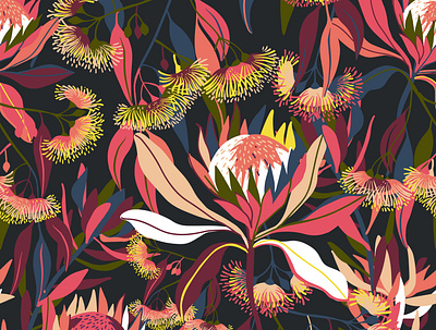 Australian flora botanical illustration
