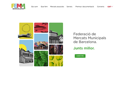 FEMM - website design