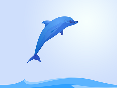 Dolphin dolphin illustration jumping sea