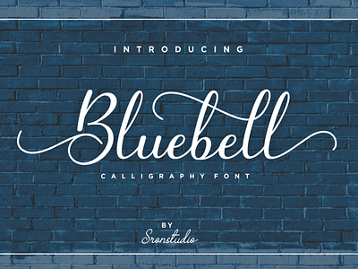 Bluebell - Calligraphy Font business casual classic elegant exclusive fashion feminime logo luxury minimalist natural script signature simple stylish