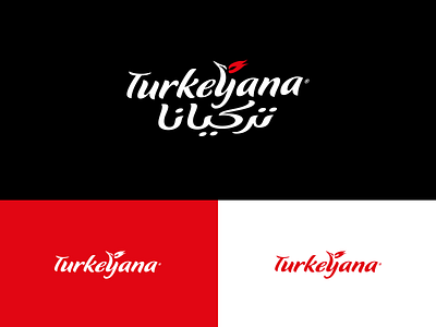 Turkeyana Logotype arabic logo branding logo matchmaking red turkey turkish