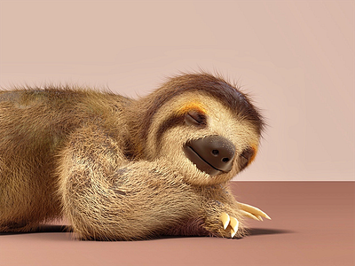 Sleepin sloth 3d animal c4d illustration sleeping sloth