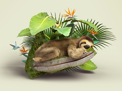 Sleeping Sloth 3d animal c4d foliage illustration jungle mammal plants sloth still life