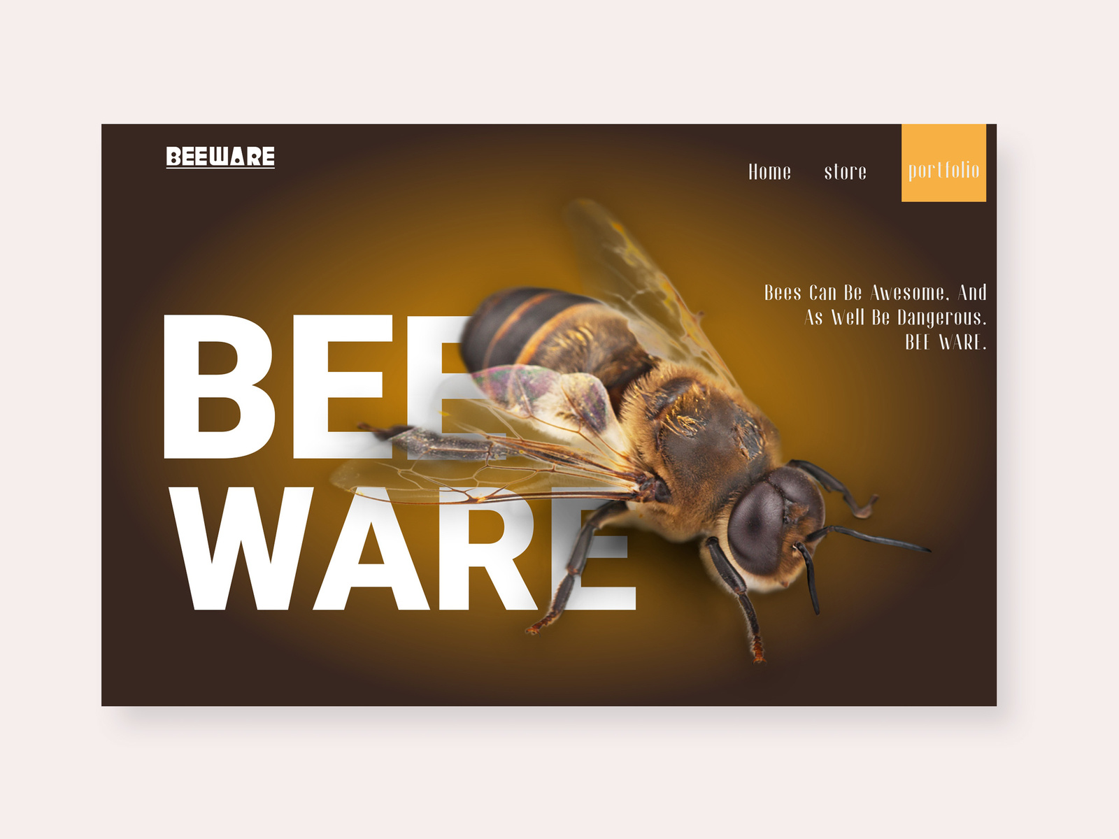 Beeware design by Damilola Emmanuel Akinosun by Damilola Emmanuel