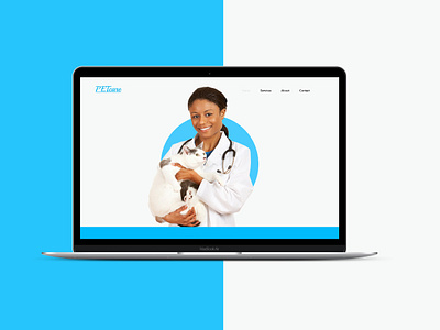 pet care website concept creative damilola emmanuel akinosun design graphicsdesign landing page landingpage ui ui ux design uidesign uidesigner uiinspiration uiux userinterface ux uxdesigner web webdesigner website