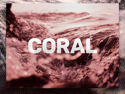 Pantone 2019: Coral 2019 branding coral coral reef cunia design logo ocean pantone pantone 2019 reef typography vector