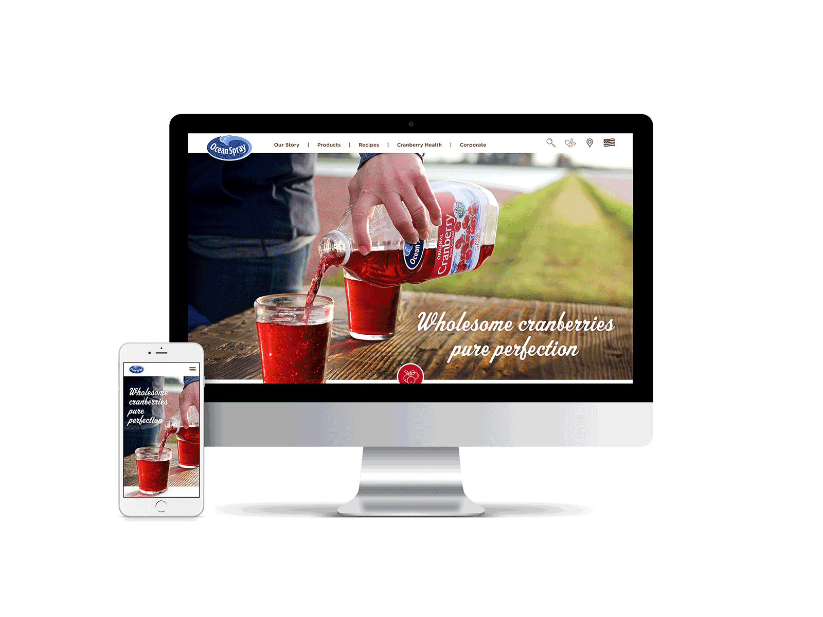 Ocean Spray Website Design